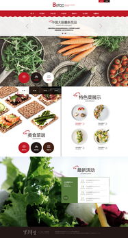 天津奔唐網(wǎng)絡(luò) 打造綠色養(yǎng)生食品官網(wǎng)的開發(fā)與維護(hù)之道