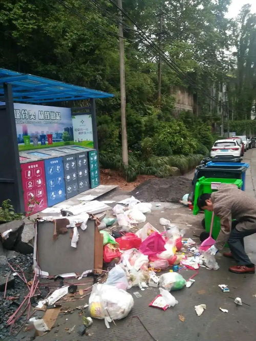 桐廬城區(qū)生活小區(qū)垃圾分類(lèi)現(xiàn)狀與城市生活垃圾經(jīng)營(yíng)服務(wù)探析